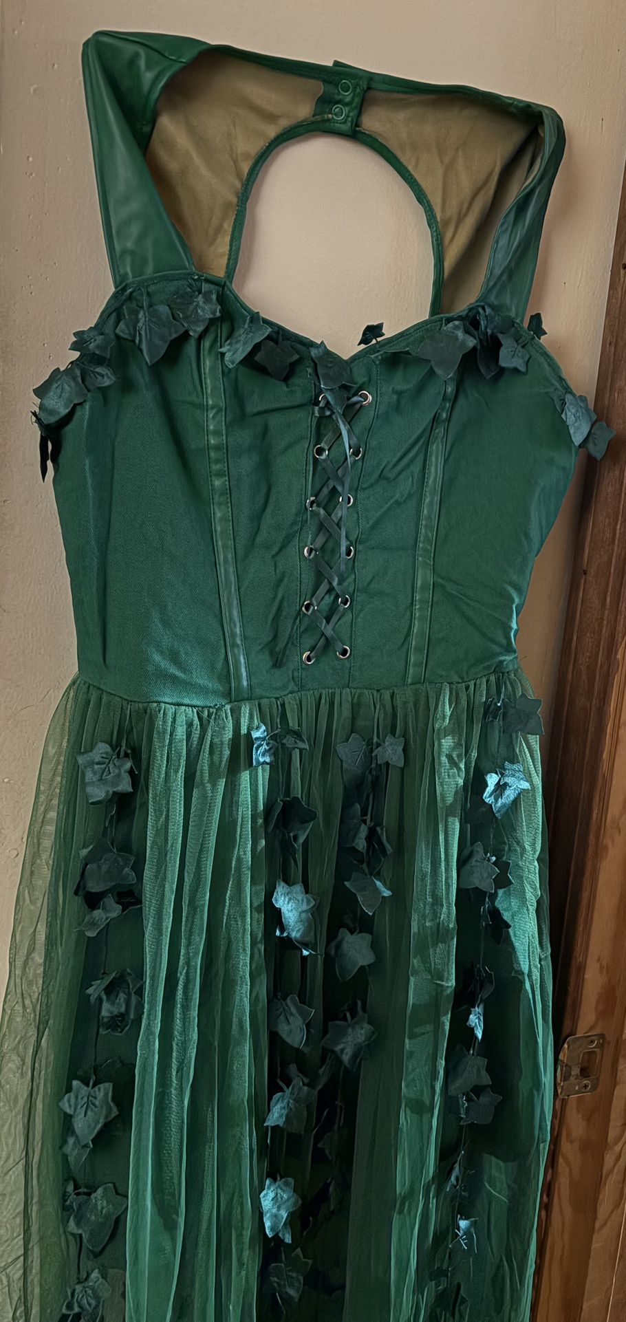 Complete DC Comics Poison Ivy  costume 