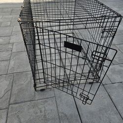 Dog Kennel