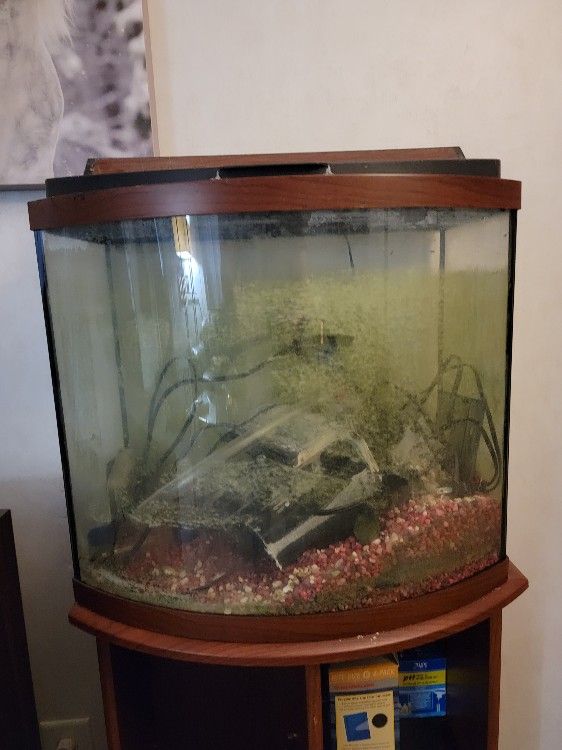 Fish tank