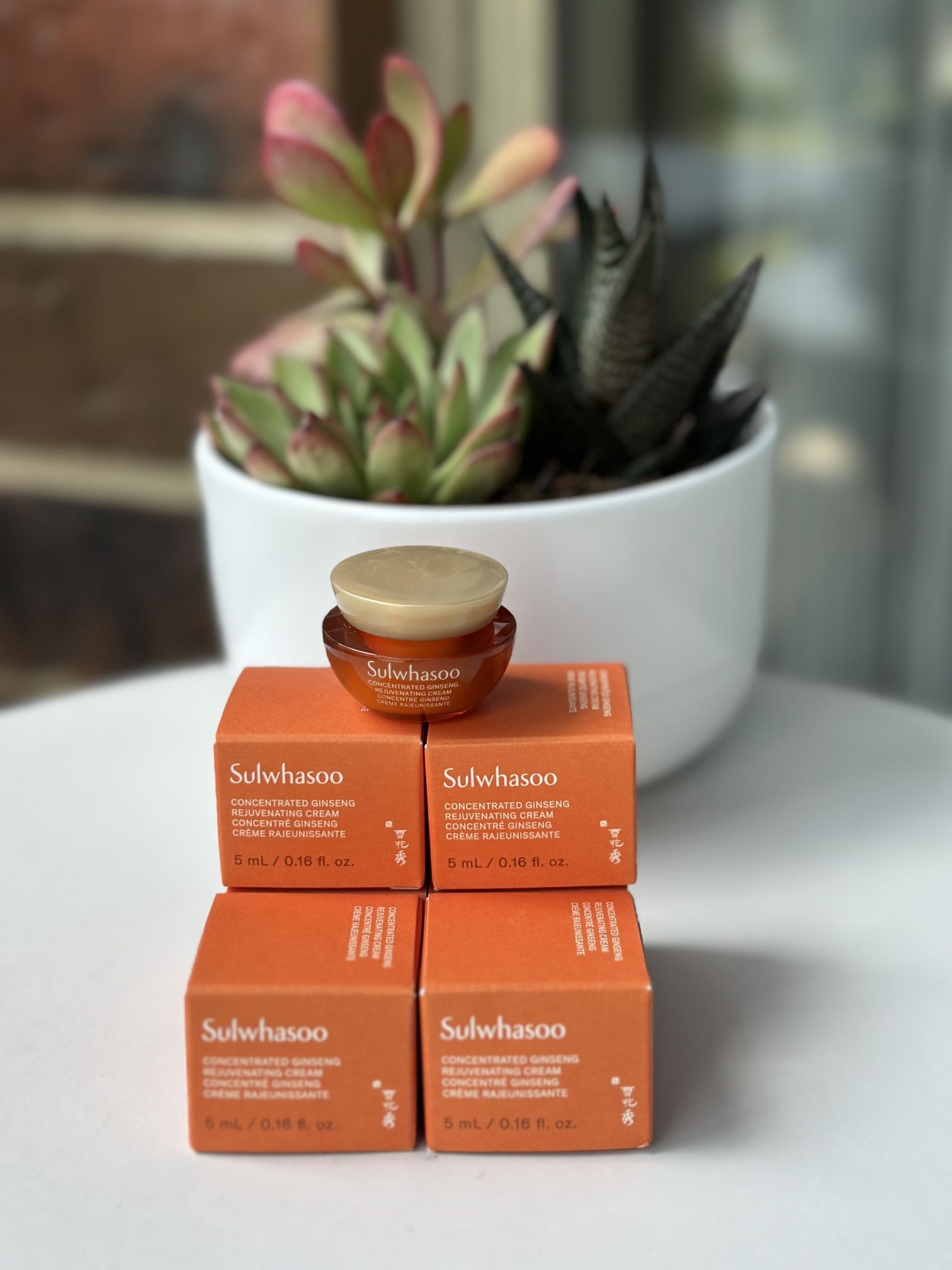 NEW 3x Sulwhasoo Concentrated Ginseng Rejuvenating Cream 5ML