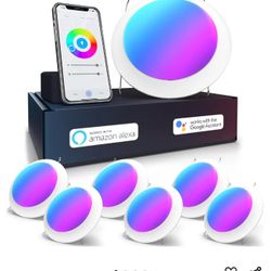 6" LED Smart Disk Lights (6 quantity)