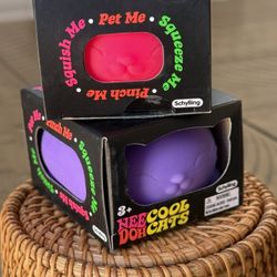 Authentic Schylling Needoh Cool Cats