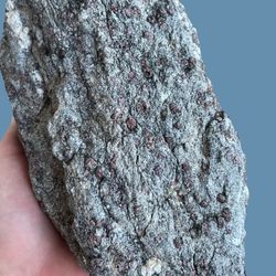 Garnets In Gneiss Specimen. Crystals Gemstones Rocks Minerals