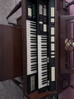 Organ