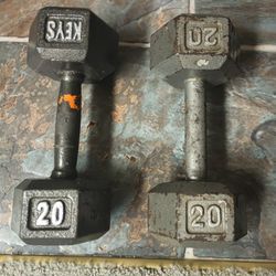 2 20lb Dumbbells 