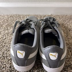 pumas