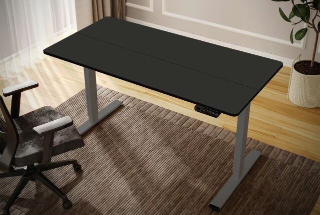 FlexiSpot Standing Desk 55x28