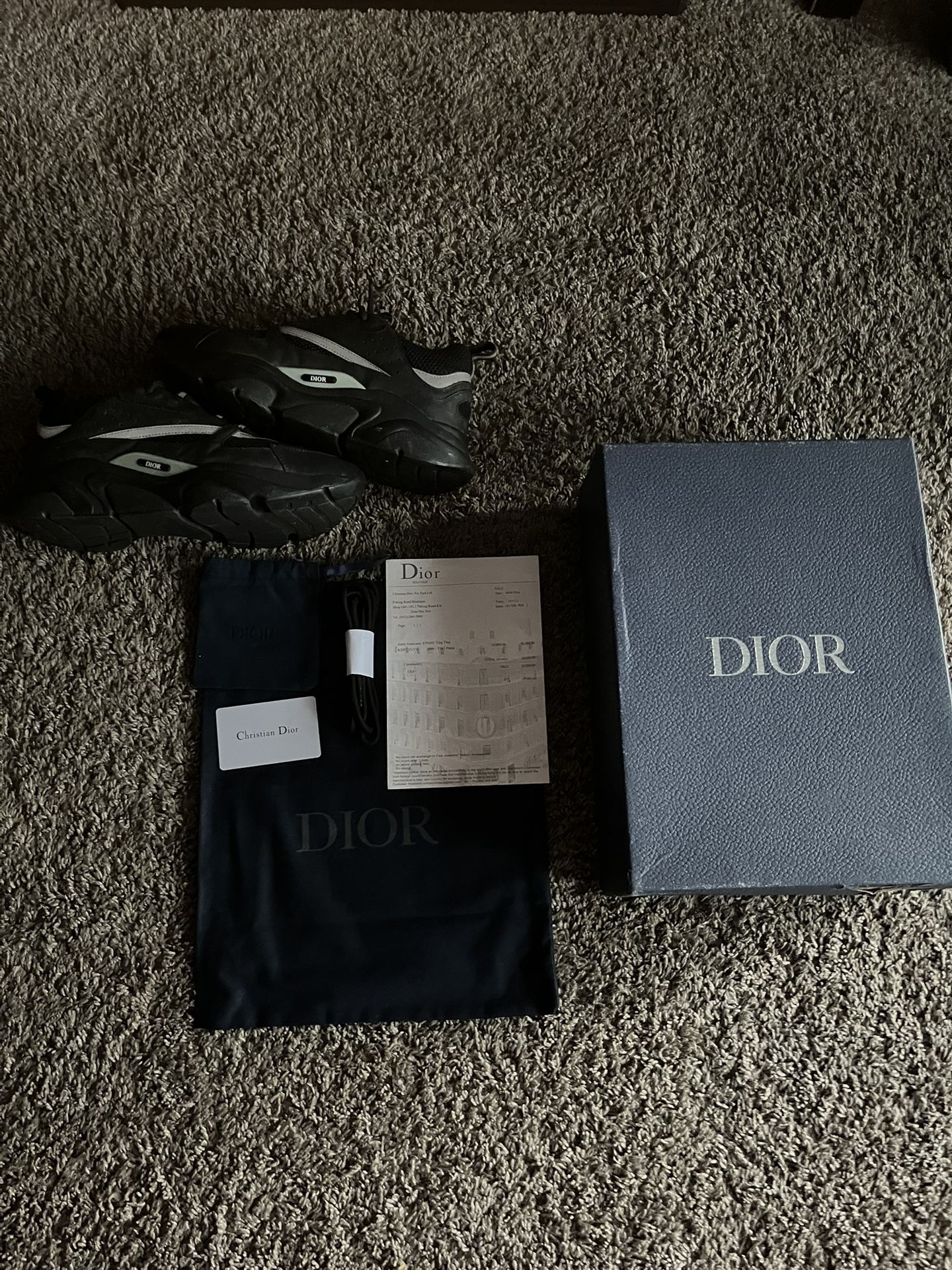 Dior B22