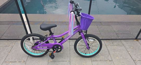 Guardian 14 Inch Bike purple
