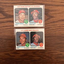 1973 Johnny Bench / Dick Allen 
