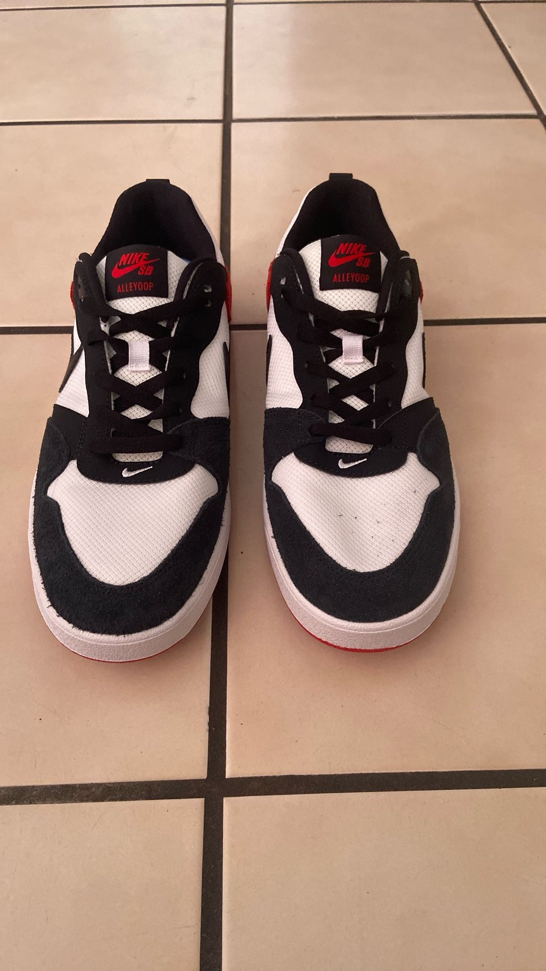 Nike SB Shoes