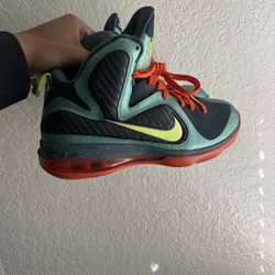 LeBron 9s  Size 9.5 $45