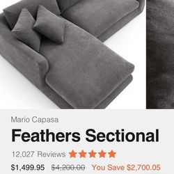 Valyou Feathers Sectional