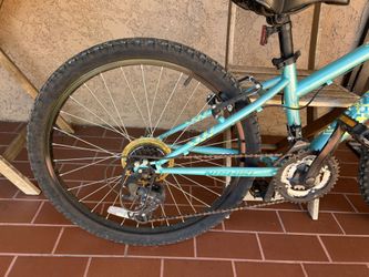 Nishiki Kids Bike 24”
