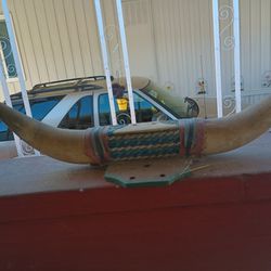 Vintage Mounted Bull Horns Retro Western

