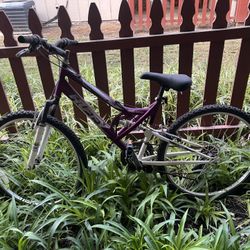 Mountain bike