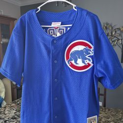 Brand New Ryne Sandberg Cubs Jersey (Large)