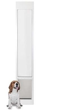 Large Doggie Door