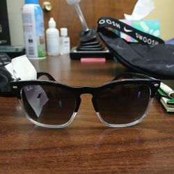 Ray Ban Steve Sunglasses