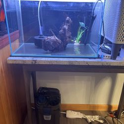 ADA Aqua Design Amano Fish Tank Set - With Light And More