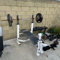 Bench Press 