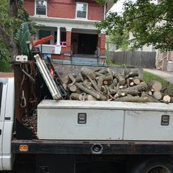 Fire Woodready To Go In To Your Fire Box