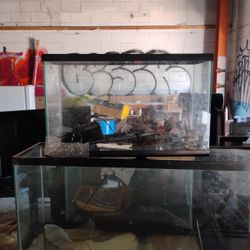 28 Gallon Aquarium 