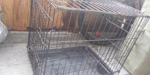 Dog crate - chihuahua size