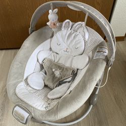 Ingenuity Baby Bouncer