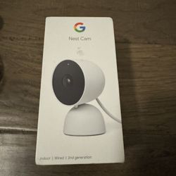 Google Nest Cam 