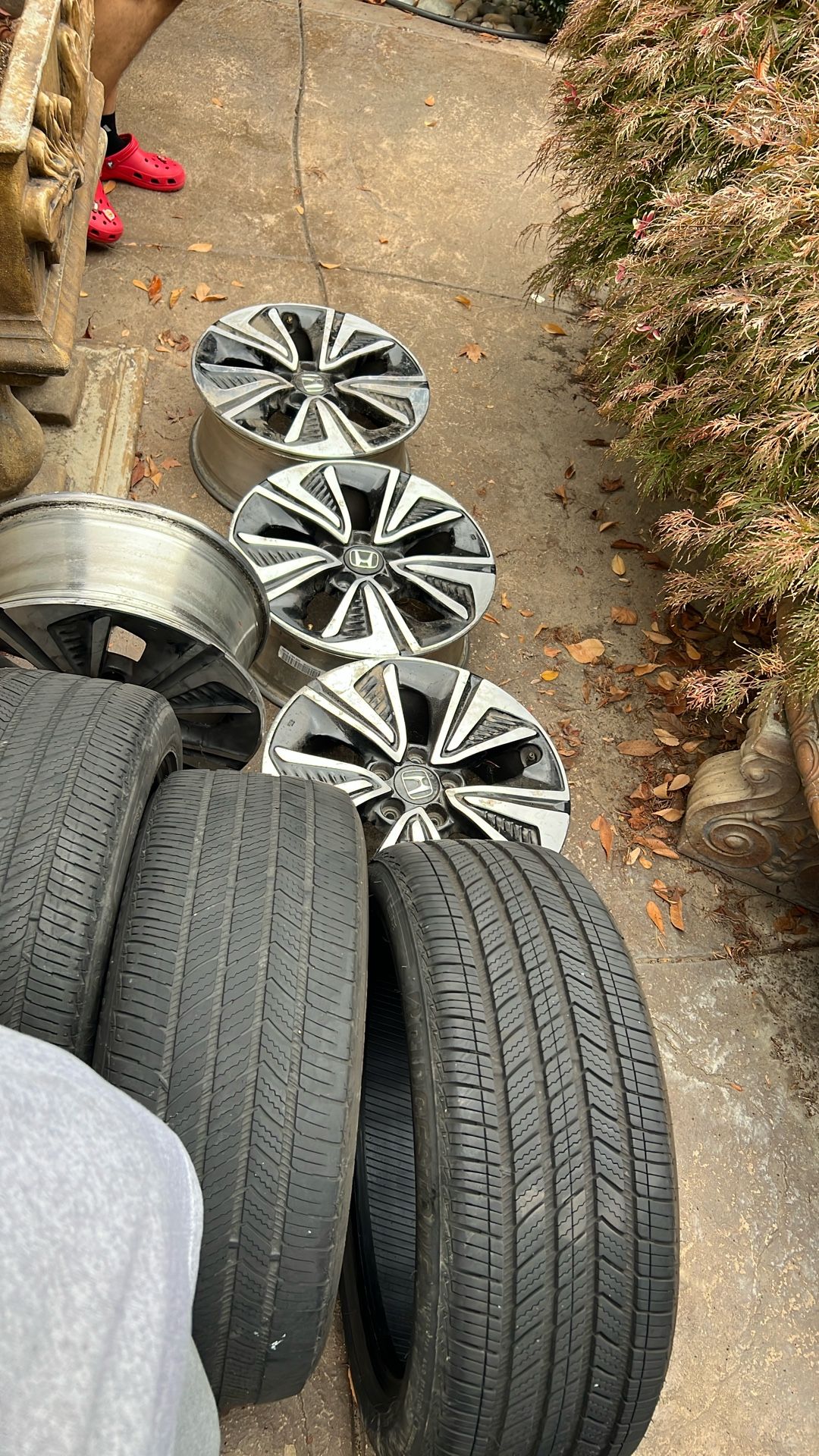 17 Inch Honda Rims