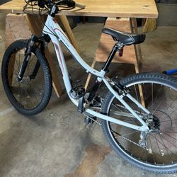 Specialized Hot Rock 