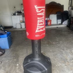 Everlast Standing Punching bag