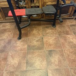 Weight Bench