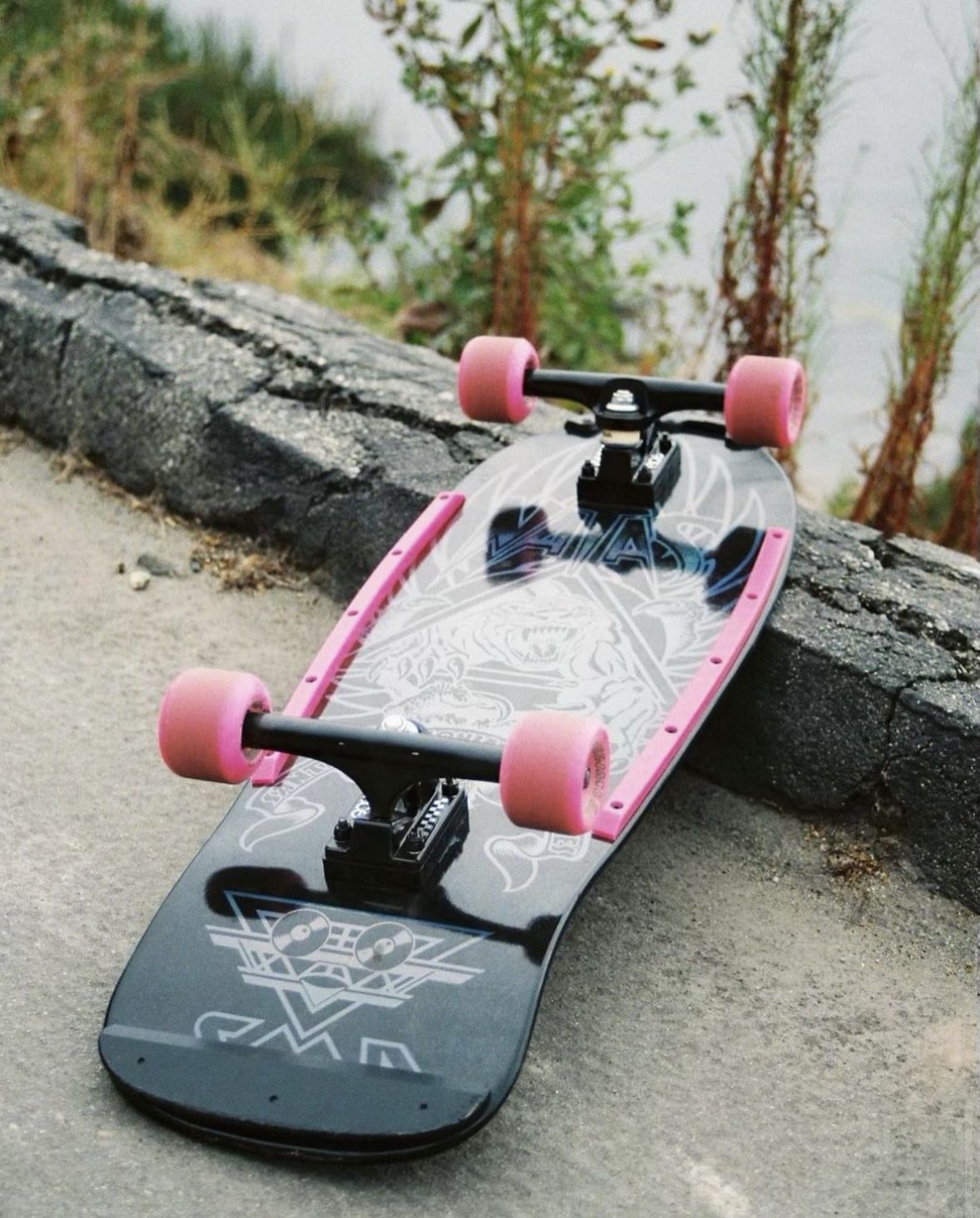 Retro Santa Cruz Skateboard