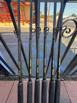 Accurate Valiant Fishing Rods