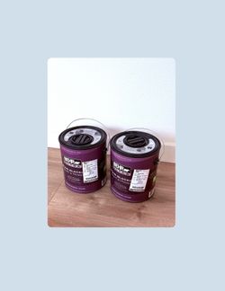NEW 2 Gallons of BEHR Ice Drop interior paint