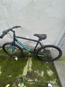 Mountain Bike Nishiki