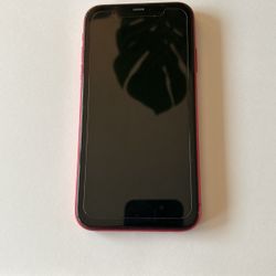 IPhone 11 Great Condition