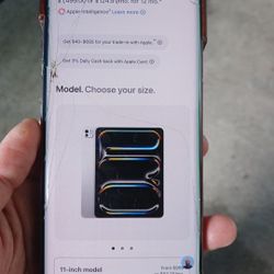 13 in iPad pro wifi +cell2 56gb 