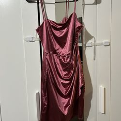 Pink Dress From Windsor(large)