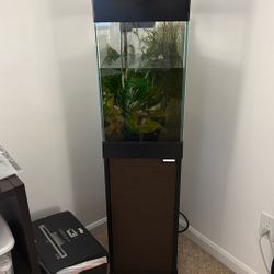 15 Gallon Column Aquarium With Stand (FREE) PENDING