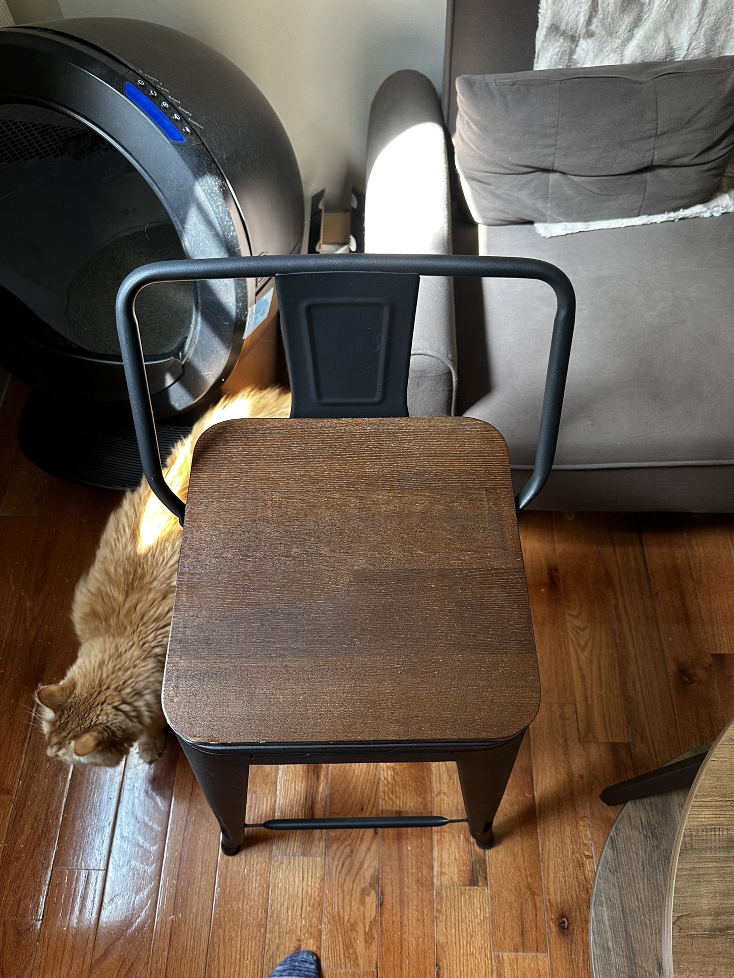 Saleh Counter Stool with Metal Frame (4 Count)