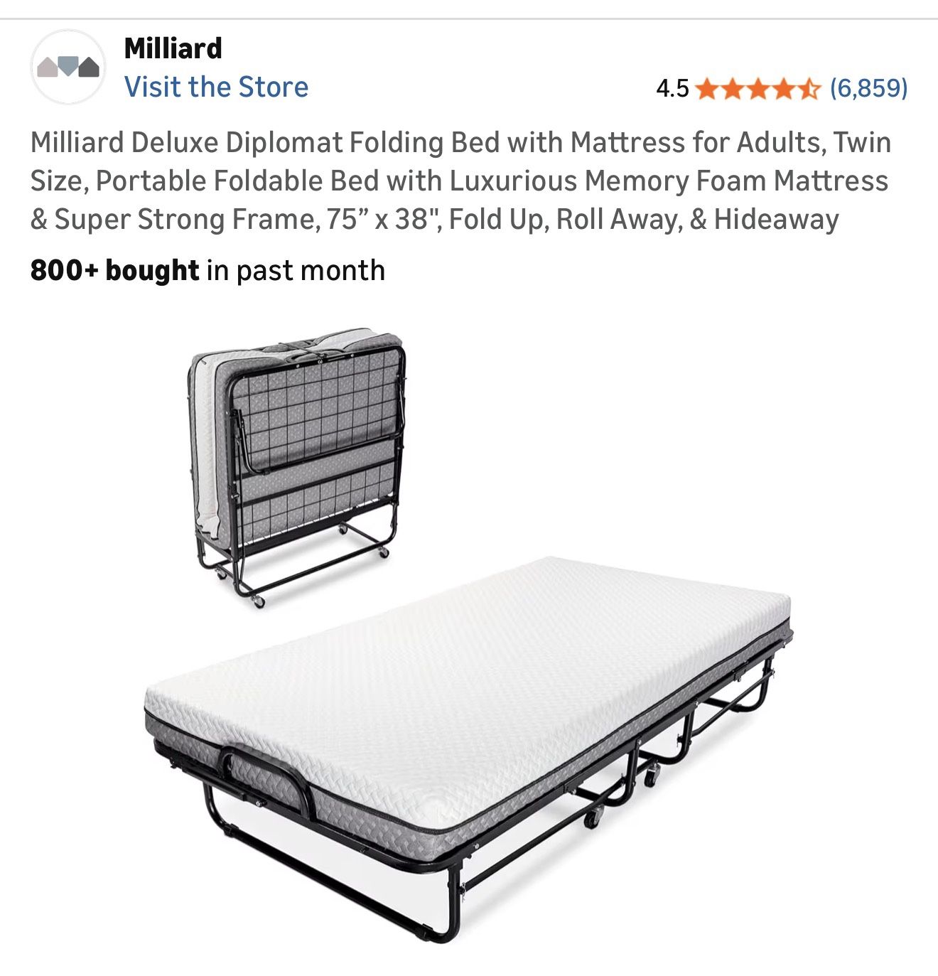 Adult Folding Bed With Frame