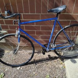Large Size Electric Blue Singlespeed Road Bike w/ bullhorn/ freewheel
