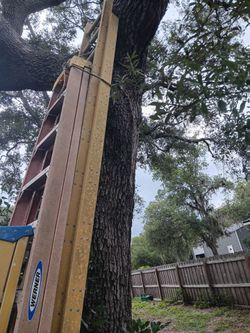 1 32 foot extention ladder was bought new and used lightly in very good condition is heavy duty