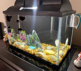 Fish tank