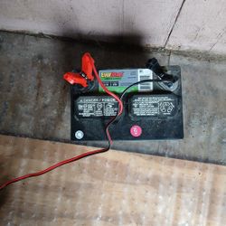 Everstart 12volt  Batteries 