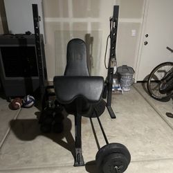 Gym Bench And Dumbbells 