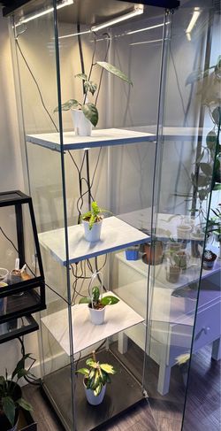 Glass display/ greenhouse cabinet/ shelf with grow lights